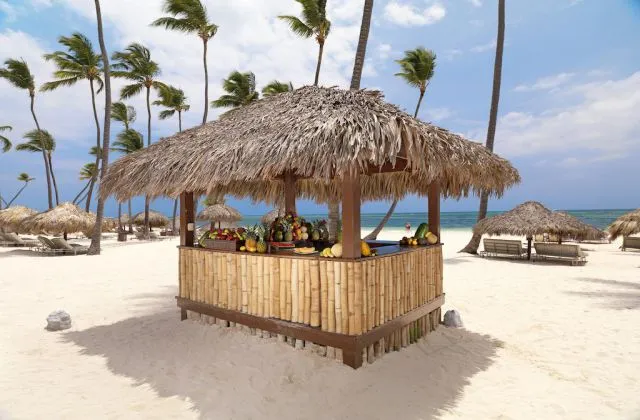 Paradisus Palma Real Resort Punta Cana Bar Beach